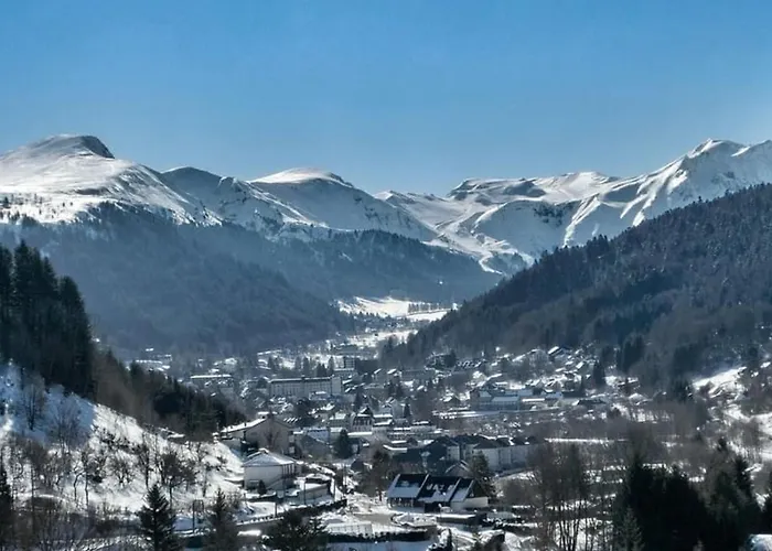 Grand 36m² Au Mont-dore, Au Pied Des Pistes, 4 Couchages - Fr-1-415-207 Mont-Dore