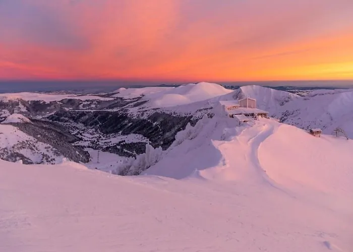 Apartment Grand 36m² Au Mont-dore, Au Pied Des Pistes, 4 Couchages - Fr-1-415-207