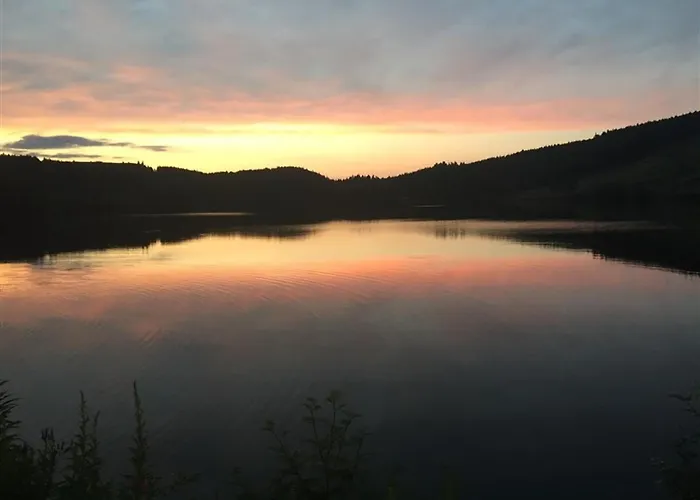 Apartment Grand 36m² Au Mont-dore, Au Pied Des Pistes, 4 Couchages - Fr-1-415-207 *