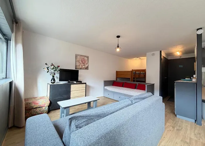 Grand 36m² Au Mont-dore, Au Pied Des Pistes, 4 Couchages - Fr-1-415-207 *