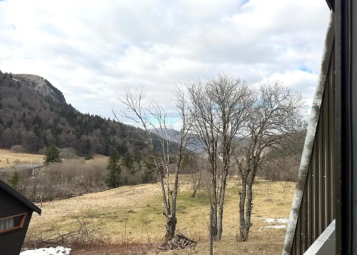 Apartment Grand 36m² Au Mont-dore, Au Pied Des Pistes, 4 Couchages - Fr-1-415-207